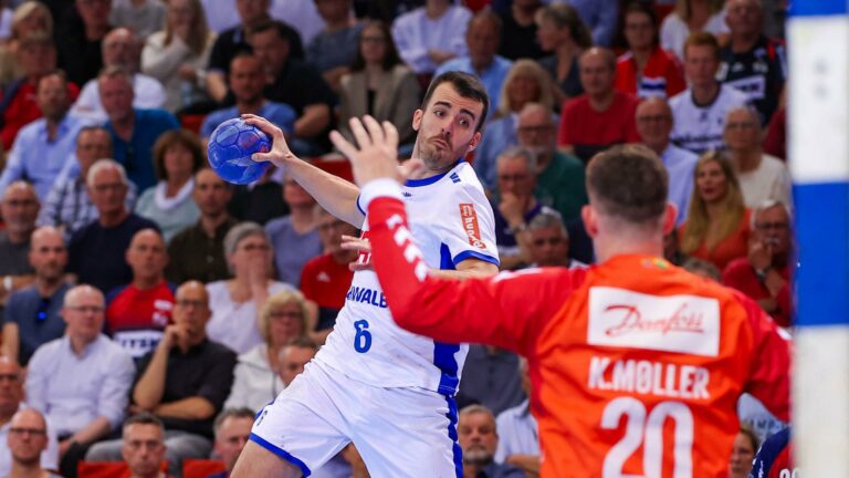 Unaufhaltbarer VfL macht in Flensburg Europapokal-Qualifikation perfekt